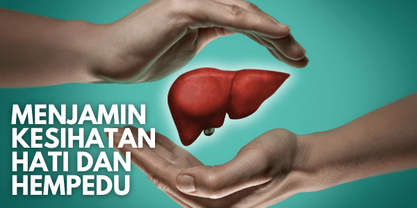 20 KHASIAT MINYAK KELAPA DARA KEPADA KESIHATAN DAN KECANTIKAN D'Aura D'Aura 4