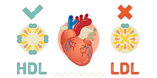 Main - Post Natal D'Aura D'Aura HDL