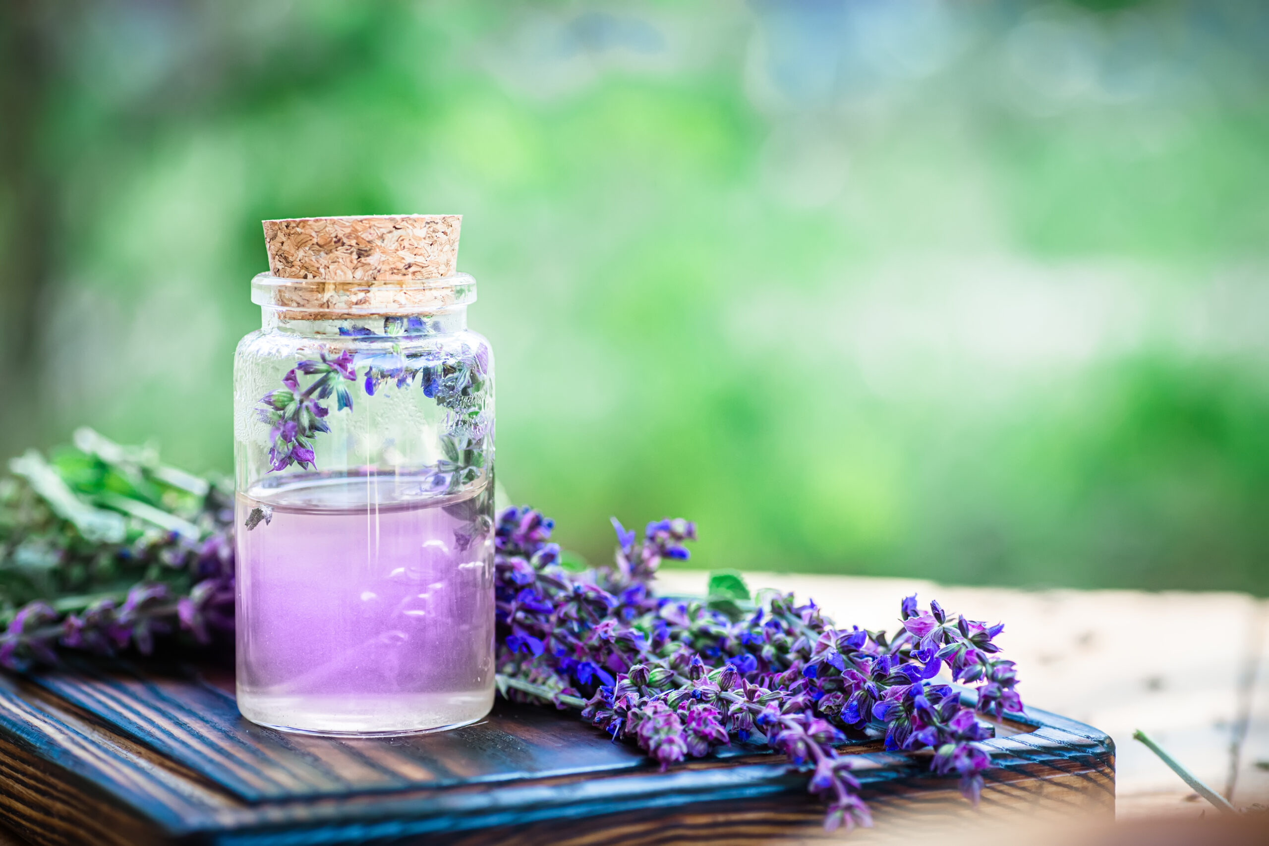 sage essential oil with fresh Salvia pratensis , meadow clary or meadow sage purple. In the yard of a village house near a herbalist. Preparation of elixirs from medicinal herbs D'Aura sage essential oil with fresh salvia pratensis m 2022 11 23 21 57 27 utc scaled